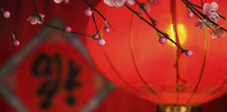 chinese-lantern-2