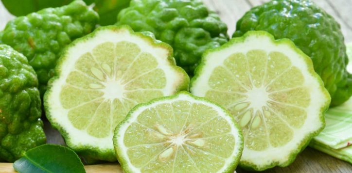 whit-bergamot-cover-2