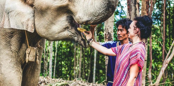 elephant-jungle-sanctuary-2